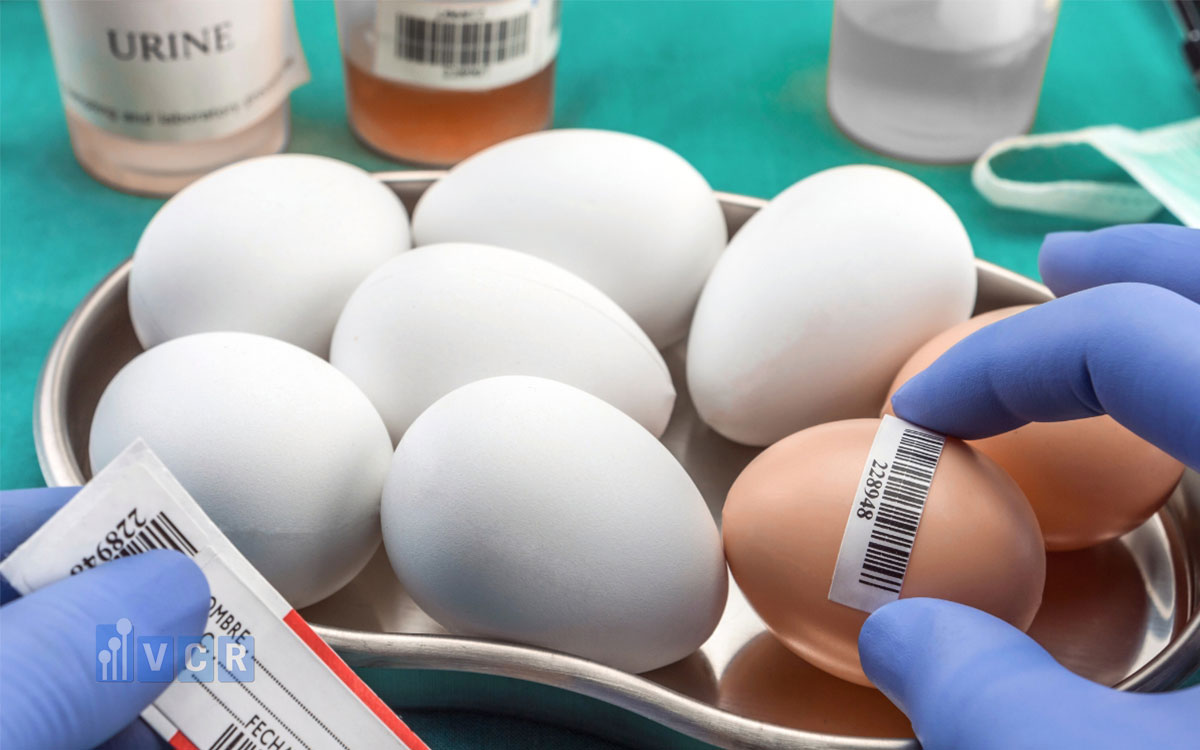 Các trường hợp bắt buộc phải kiểm nghiệm thực phẩm