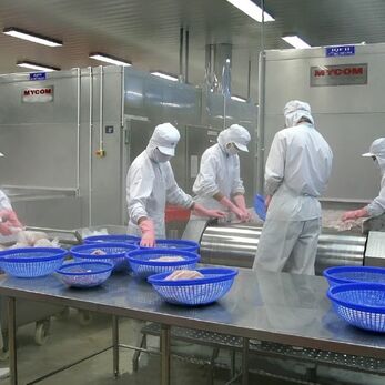 Phòng sạch trong chế biến thực phẩm đông lạnh tốc độ cao kiểm soát vi sinh ở -40°C có thật sự dễ?