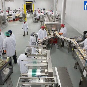 Phòng sạch thực phẩm như một tiêu chuẩn mới trong sản xuất protein thực vật