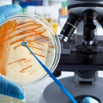 Cách phòng sạch thực phẩm giúp đáp ứng yêu cầu an toàn thực phẩm & xu hướng kiểm soát vi sinh mới