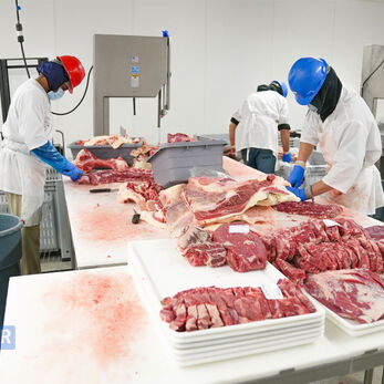 Kiểm soát mùi và VOC trong phòng sạch thực phẩm: Giải pháp đảm bảo an toàn và chất lượng sản xuất