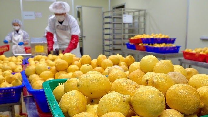 Sản xuất bột rau củ và bột trái cây trong phòng sạch thực phẩm trước thách thức bụi mịn và độ ẩm