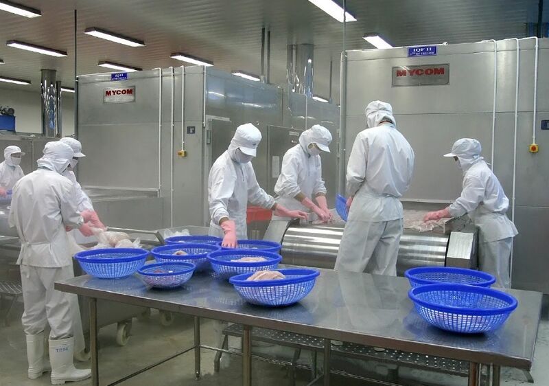 Phòng sạch trong chế biến thực phẩm đông lạnh tốc độ cao kiểm soát vi sinh ở -40°C có thật sự dễ?