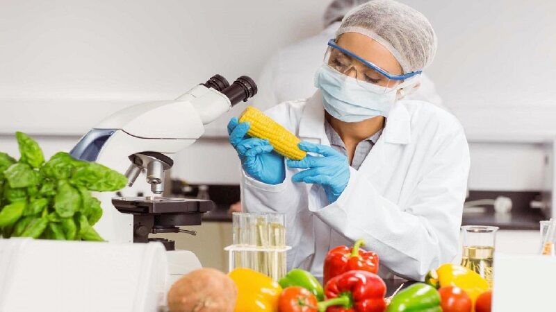 Cách kiểm soát vi sinh trong phòng sạch thực phẩm