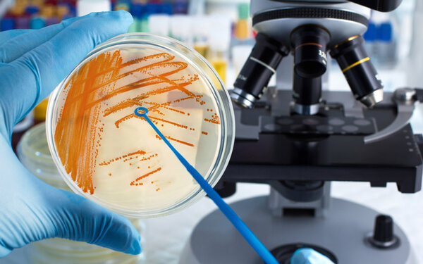 Cách phòng sạch thực phẩm giúp đáp ứng yêu cầu an toàn thực phẩm & xu hướng kiểm soát vi sinh mới