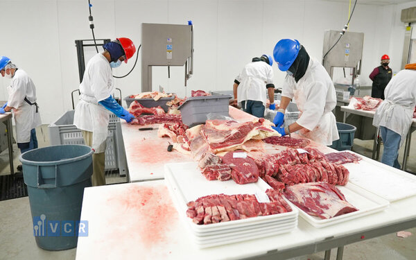 Kiểm soát mùi và VOC trong phòng sạch thực phẩm: Giải pháp đảm bảo an toàn và chất lượng sản xuất