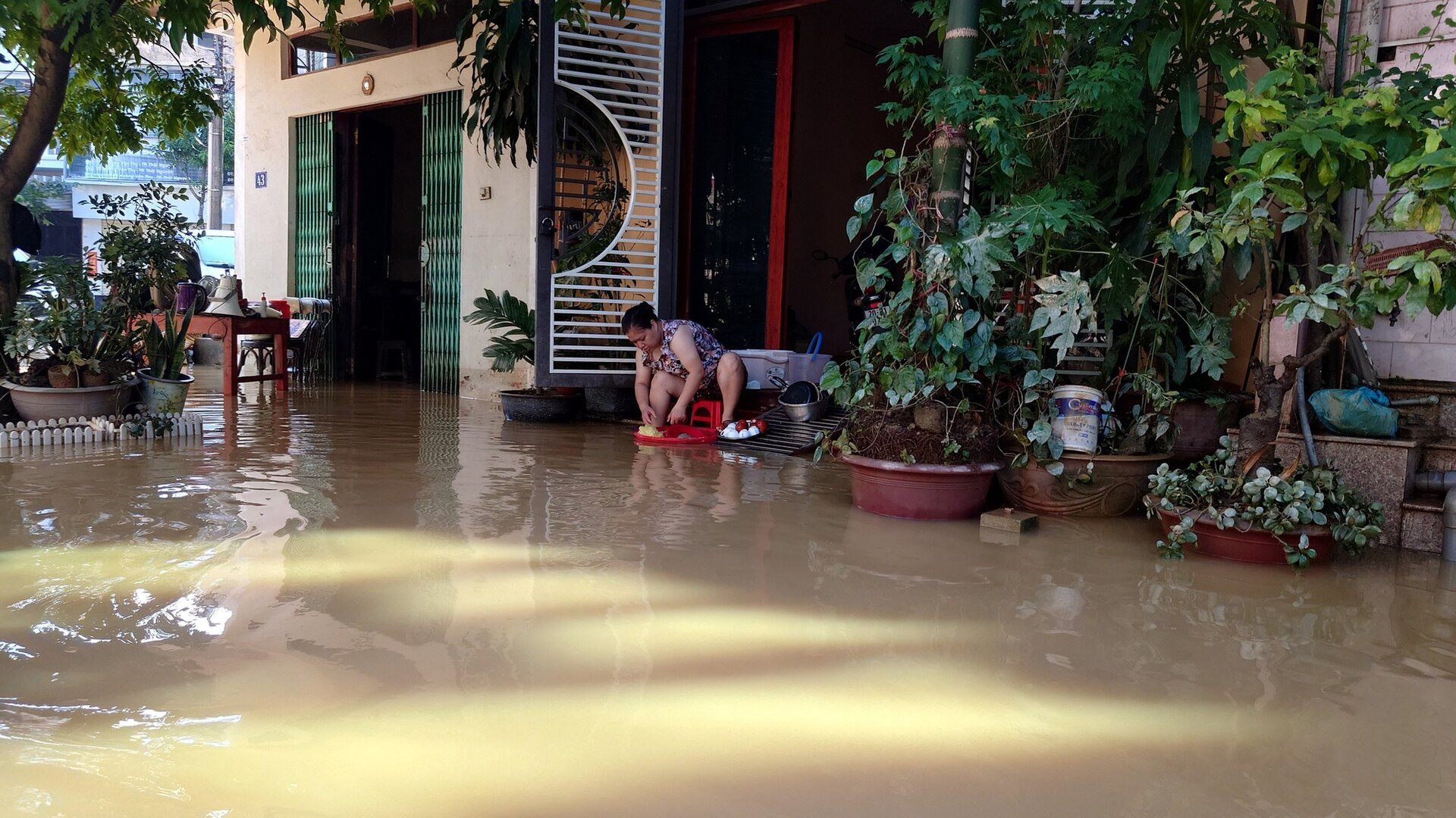 vật liệu phòng sạch