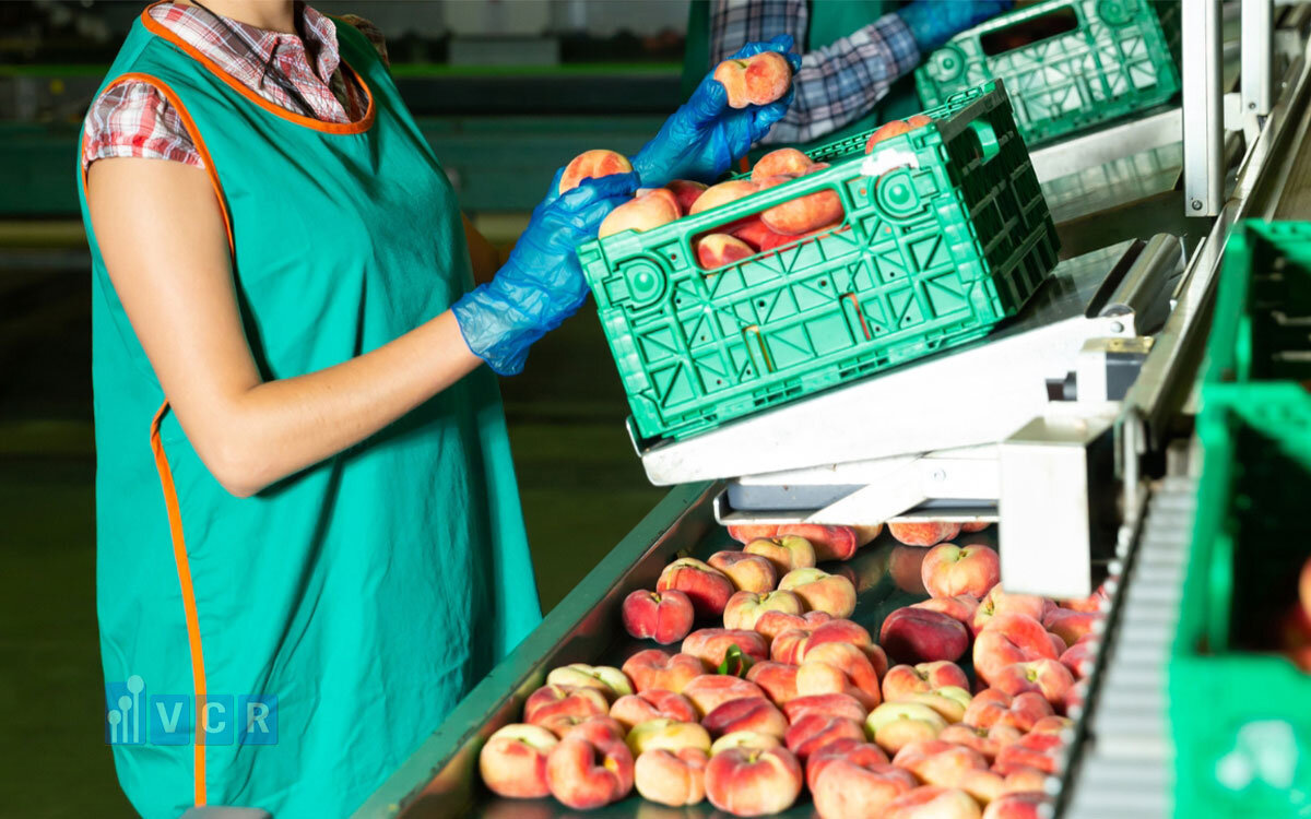 Các yếu tố kỹ thuật trong phòng sạch thực phẩm